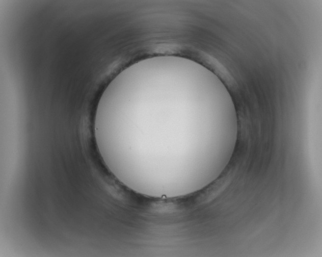 X0000111380354200907311058