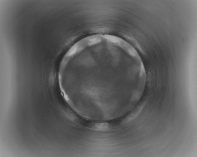 X0000111380355200907311058