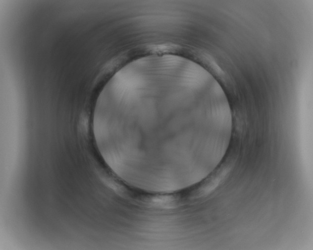 X0000111380357200907311058