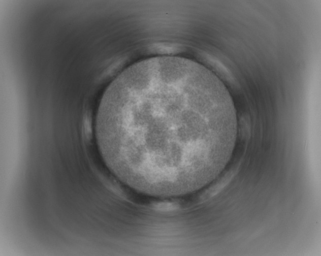 X0000111380358200907311058