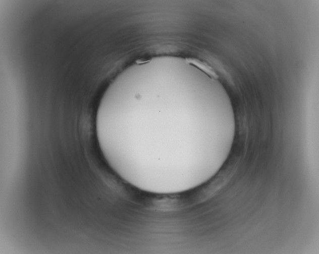 X0000111380362200907311058