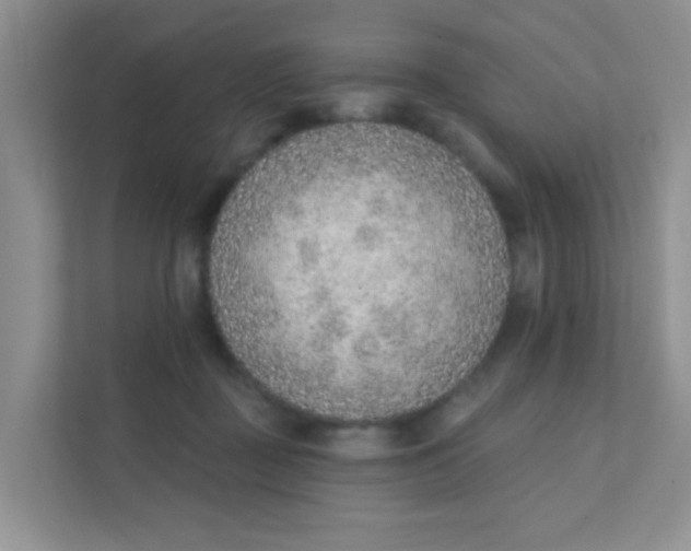 X0000111380363200907311058