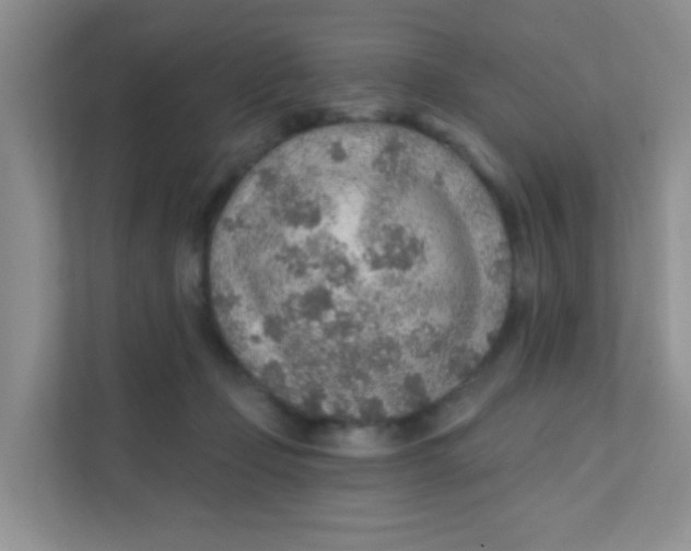 X0000111380365200907311058