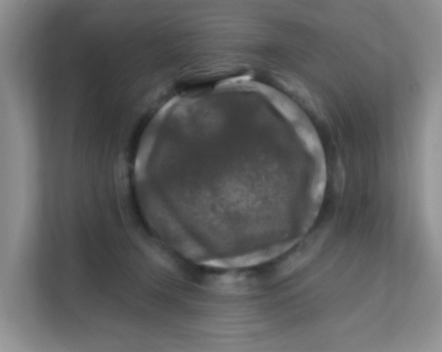 X0000111380366200907311058