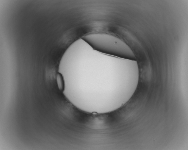 X0000111380368200907311058