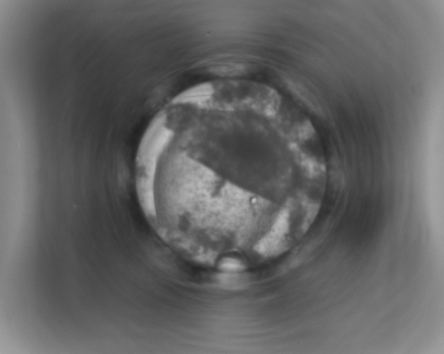 X0000111380371200907311058