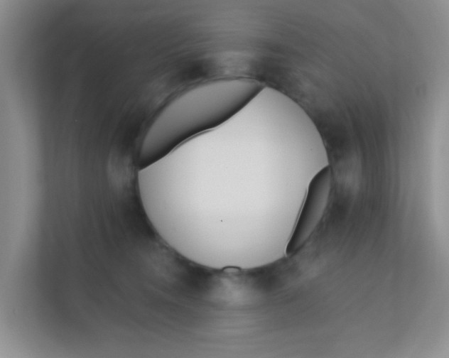 X0000111380372200907311058