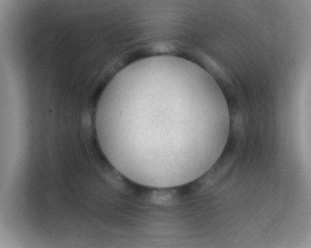 X0000111380373200907311058