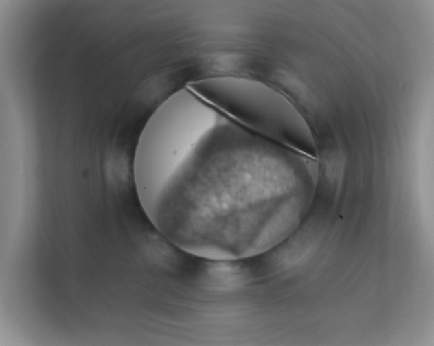 X0000111380380200907311058