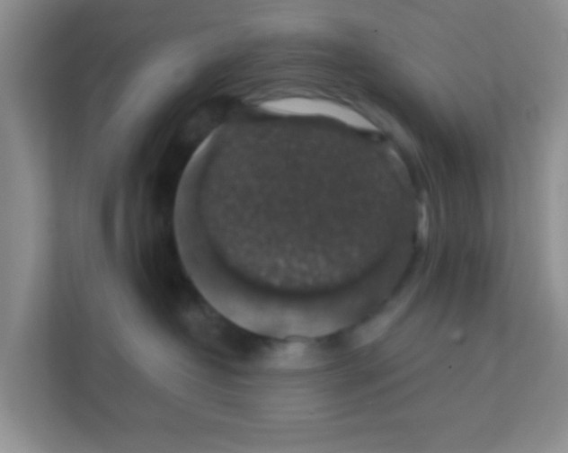 X0000111380382200907311058