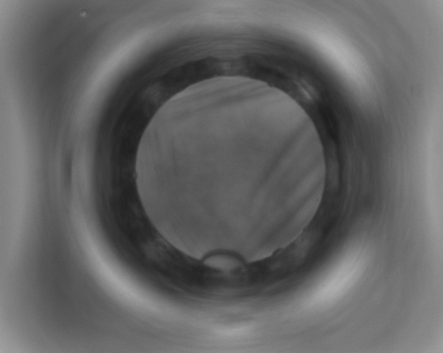 X0000111380383200907311058