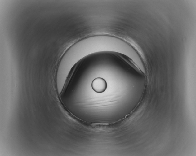 X0000111380385200907311058