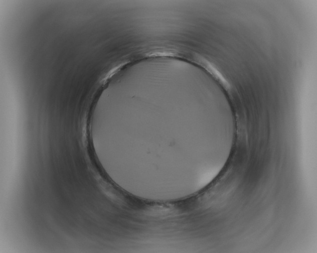 X0000111380386200907311058