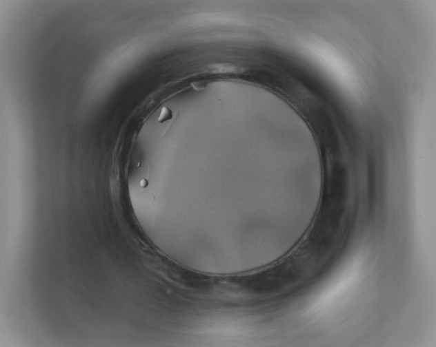 X0000111380387200907311058