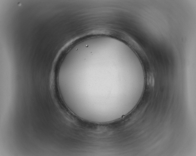 X0000111380388200907311058