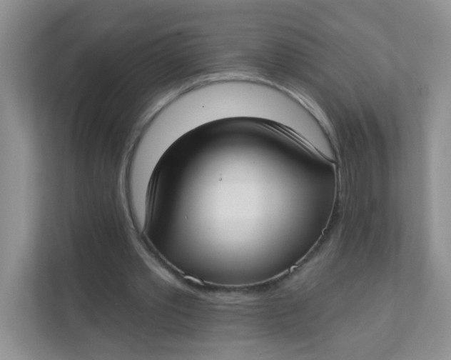 X0000111380389200907311058