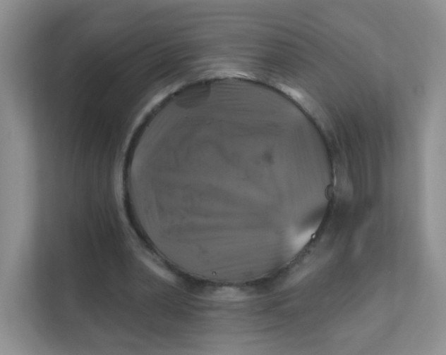 X0000111380390200907311058