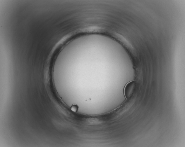 X0000111380392200907311058