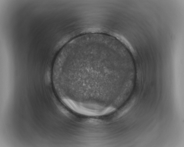 X0000111380393200907311057