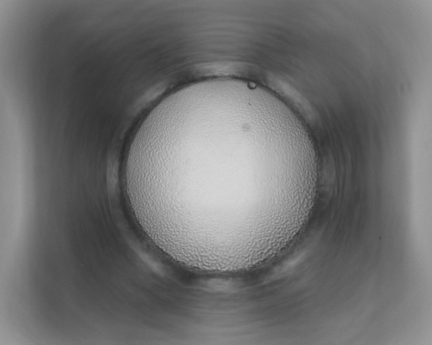 X0000111380394200907311057