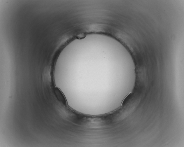 X0000111380395200907311057