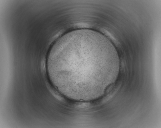 X0000111380398200907311057