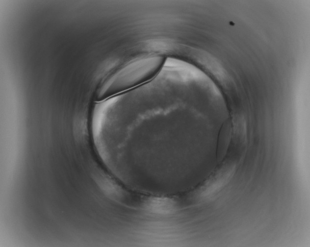 X0000111380399200907311057