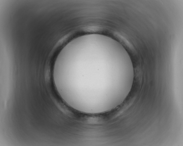 X0000111380400200907311057