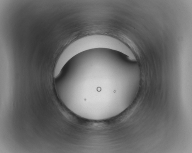 X0000111380401200907311057