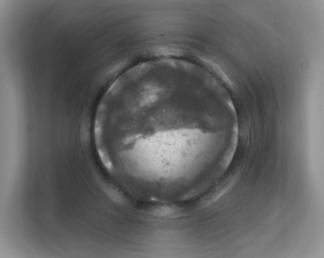 X0000111380402200907311057