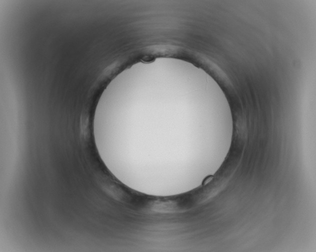 X0000111380403200907311057