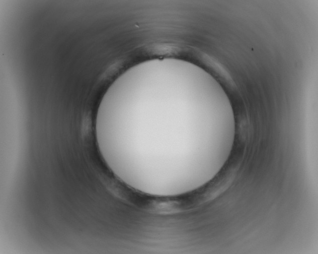 X0000111380407200907311057