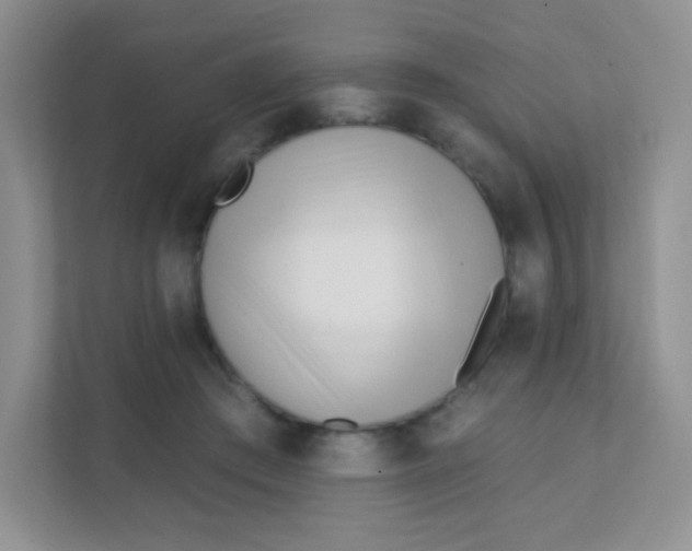 X0000111380409200907311057