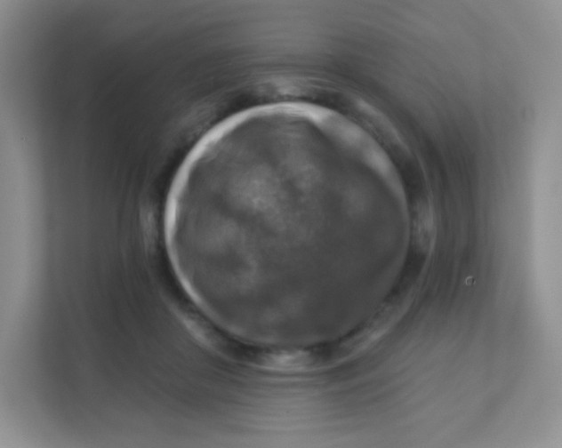 X0000111380410200907311057