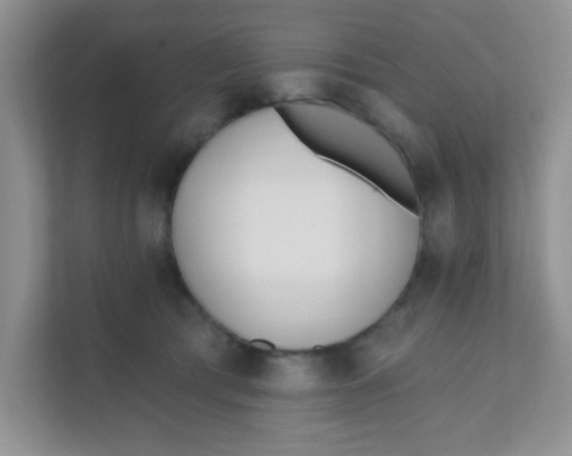 X0000111380417200907311057