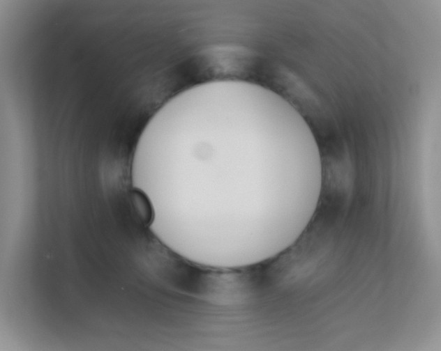 X0000111380419200907311057