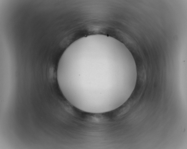 X0000111380420200907311057