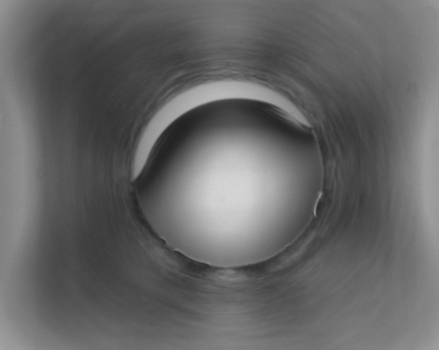 X0000111380421200907311057