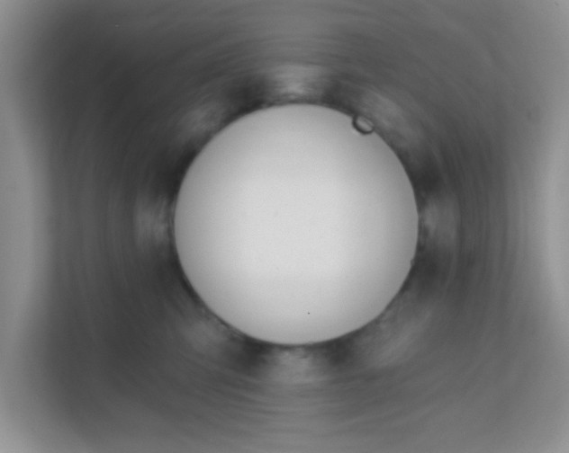 X0000111380423200907311057