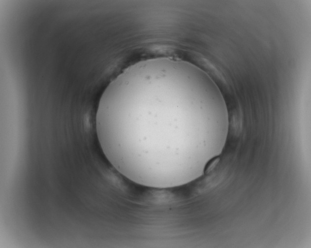 X0000111380424200907311057