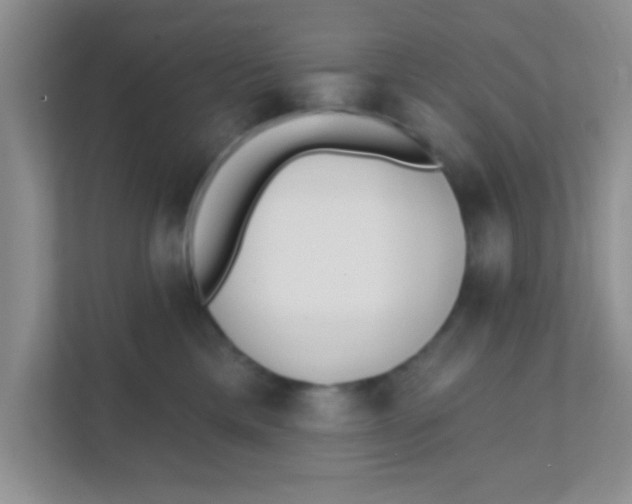 X0000111380425200907311057