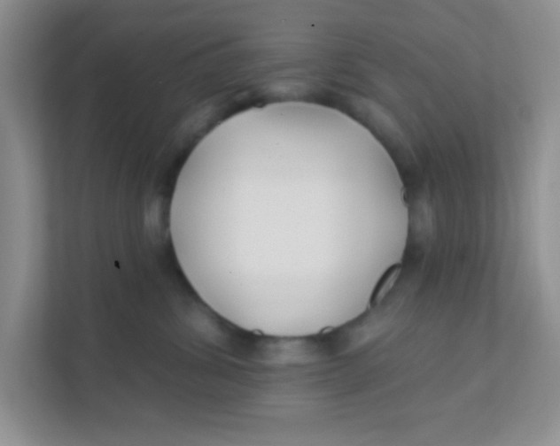 X0000111380428200907311057