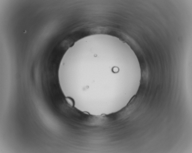 X0000111380429200907311057