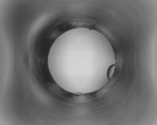 X0000111380430200907311057