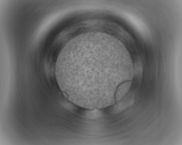 X0000111380431200907311057