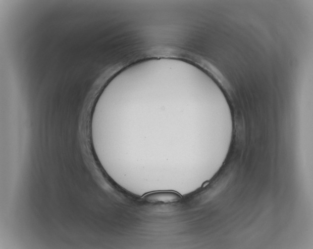 X0000111380433200907311056