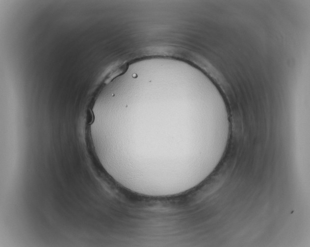 X0000111380434200907311056