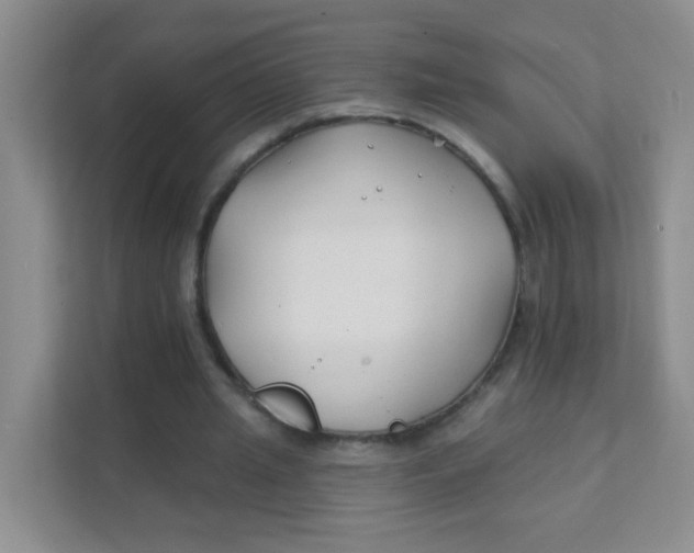 X0000111380437200907311056