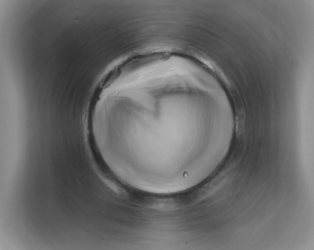 X0000111380438200907311056