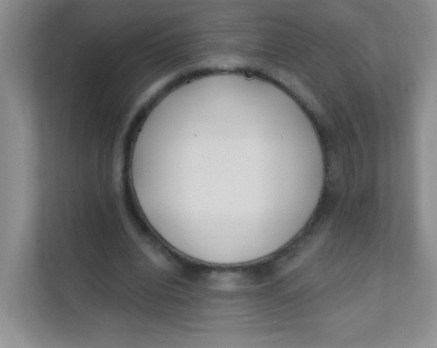 X0000111380440200907311056